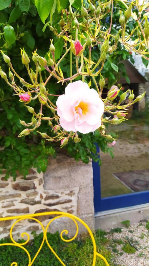 Ker Anahid - L'Atelier Bed & Breakfast Pleslin-Trigavou Dış mekan fotoğraf