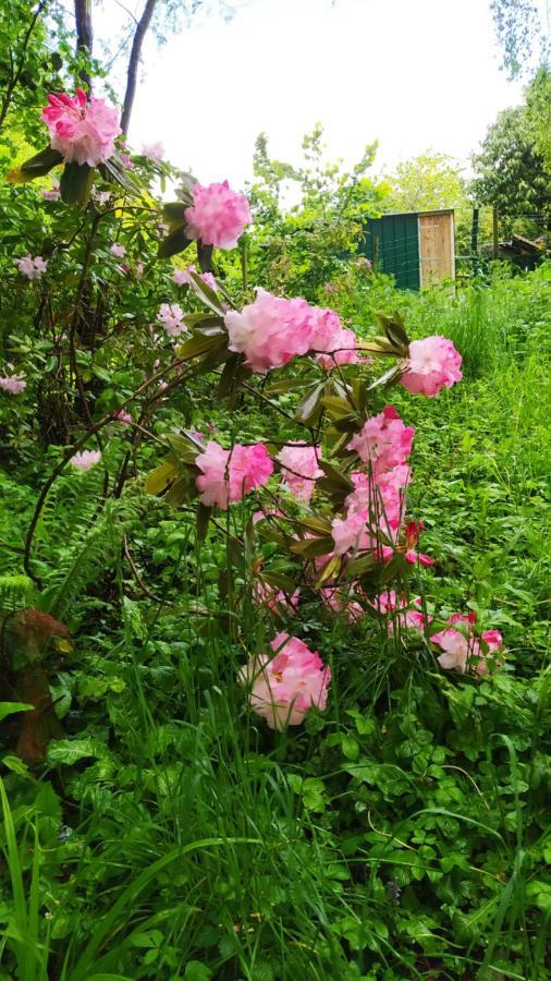 Ker Anahid - L'Atelier Bed & Breakfast Pleslin-Trigavou Dış mekan fotoğraf