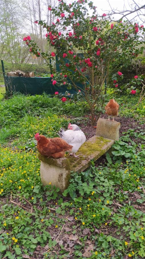 Ker Anahid - L'Atelier Bed & Breakfast Pleslin-Trigavou Dış mekan fotoğraf